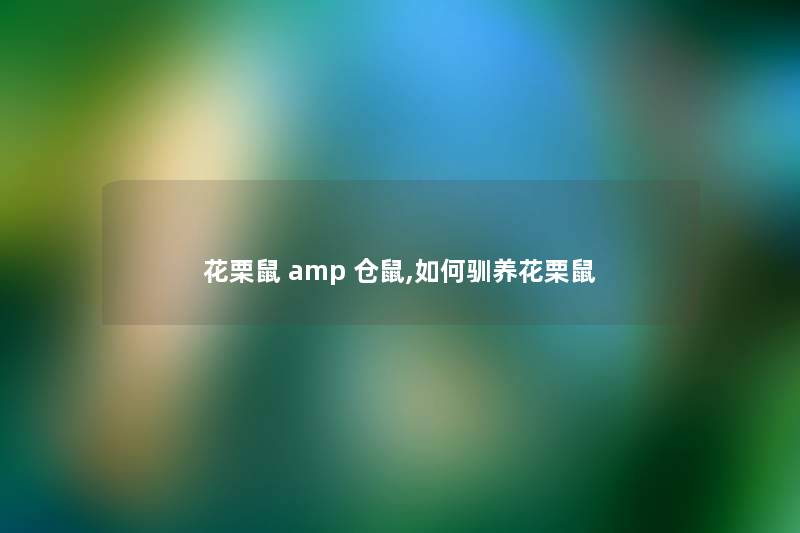 花栗鼠 amp 仓鼠,如何驯养花栗鼠 花栗鼠 amp 仓鼠,如何驯养花栗鼠