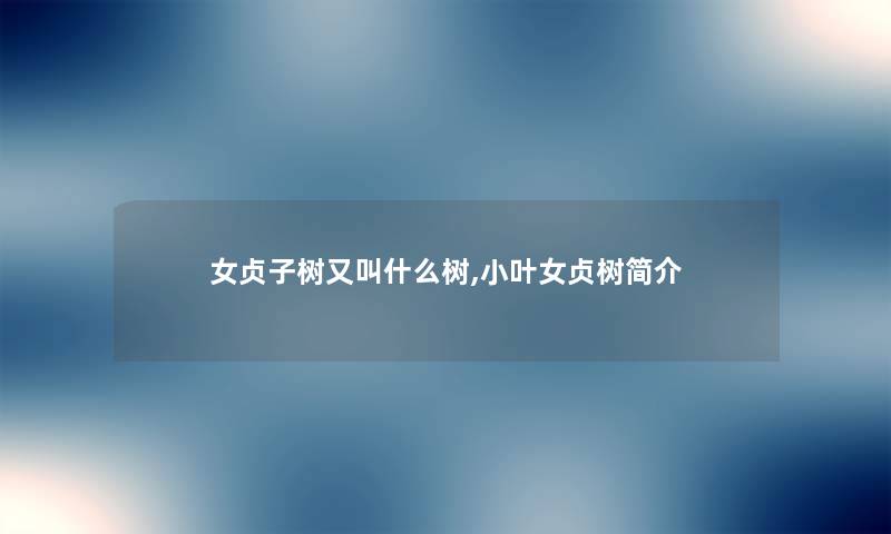女贞子树又叫什么树,小叶女贞树简介 女贞子树又叫什么树,小叶女贞树简介