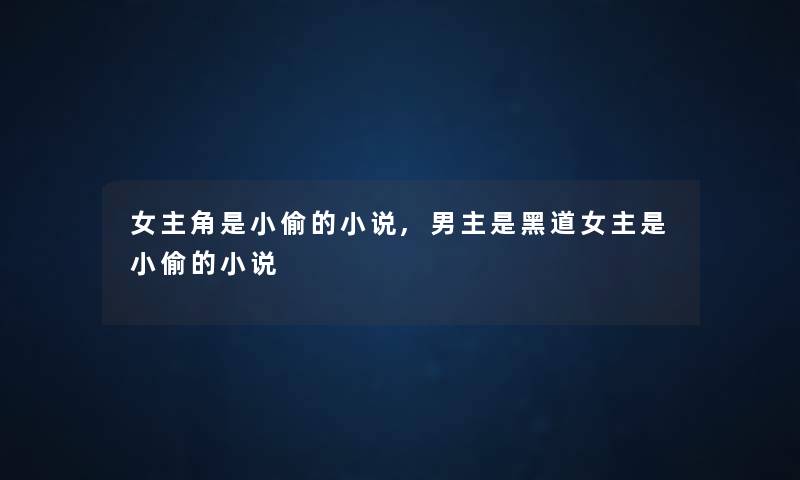 女主角是小偷的小说,男主是黑道女主是小偷的小说