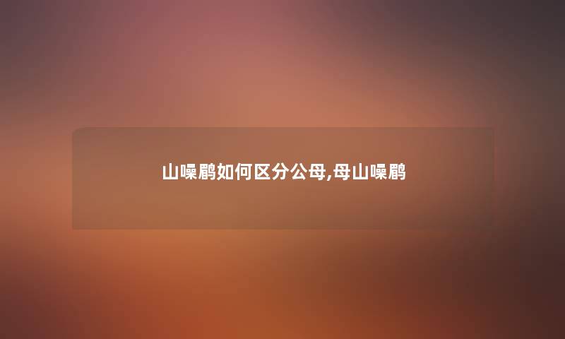 山噪鹛如何区分公母,母山噪鹛 山噪鹛如何区分公母,母山噪鹛