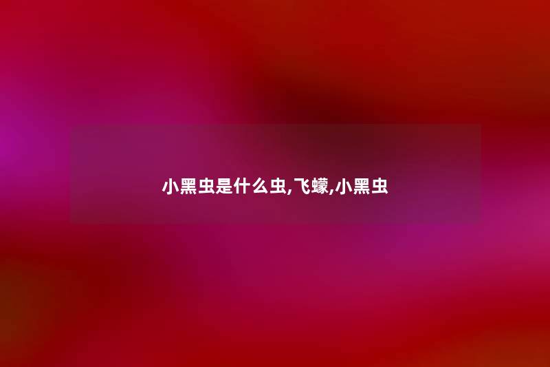 小黑虫是什么虫,飞蠓,小黑虫
