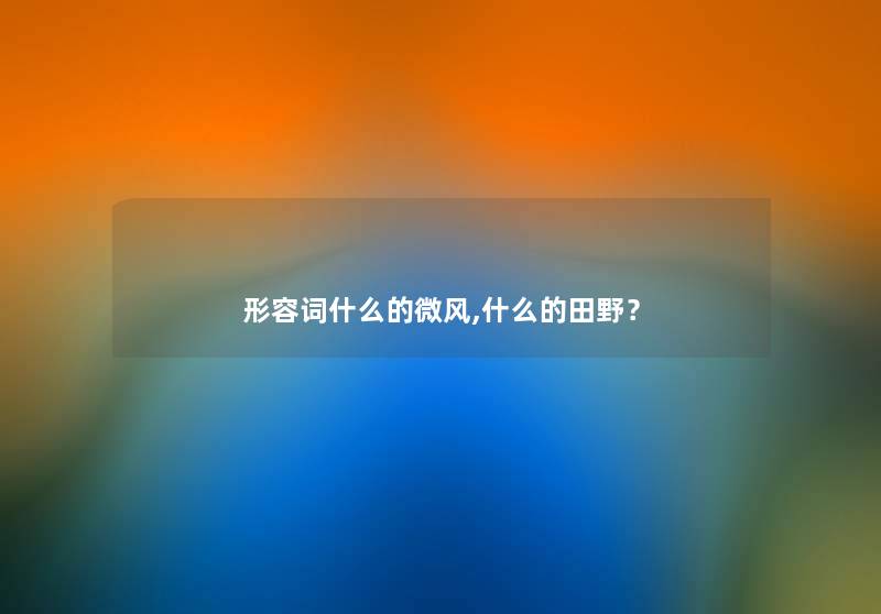 形容词什么的微风,什么的田野？