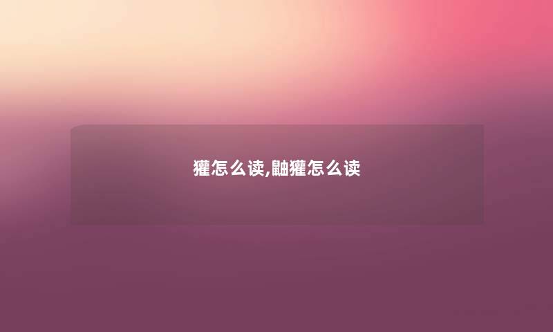 獾怎么读,鼬獾怎么读 獾怎么读,鼬獾怎么读