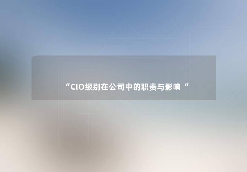 “CIO级别在公司中的职责与影响“