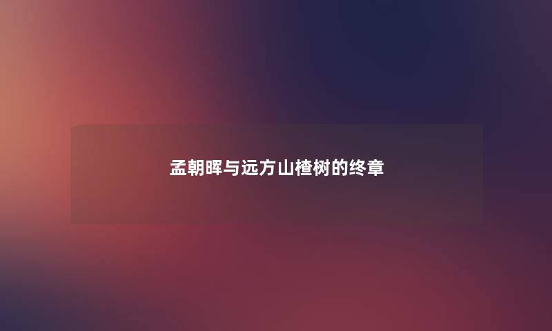 孟朝晖与远方山楂树的终章