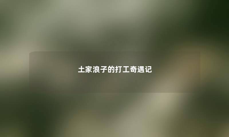 土家浪子的打工奇遇记