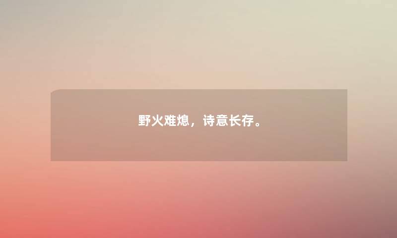 野火难熄，诗意长存。