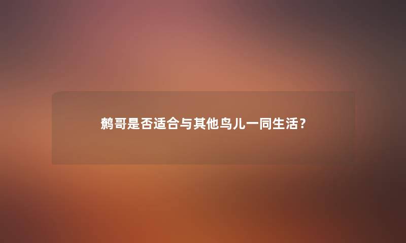 鹩哥是否适合与其他鸟儿一同生活？