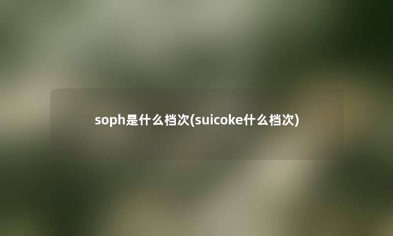 soph是什么档次(suicoke什么档次)