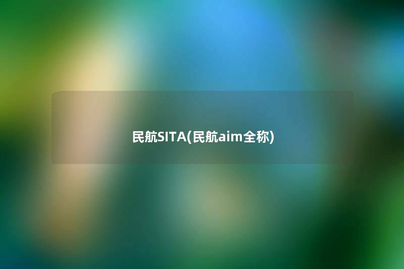 民航SITA(民航aim全称) 民航SITA(民航aim全称)