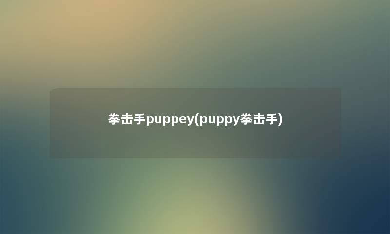 拳击手puppey(puppy拳击手) 拳击手puppey(puppy拳击手)
