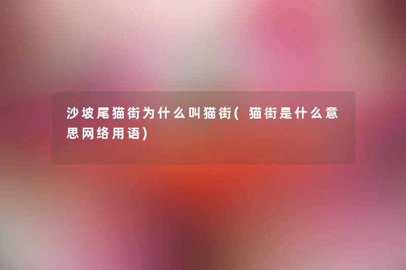 沙坡尾猫街为什么叫猫街(猫街是什么意思网络用语) 沙坡尾猫街为什么叫猫街(猫街是什么意思网络用语)