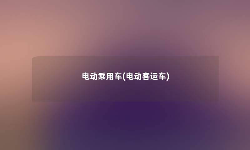 电动乘用车(电动客运车) 电动乘用车(电动客运车)