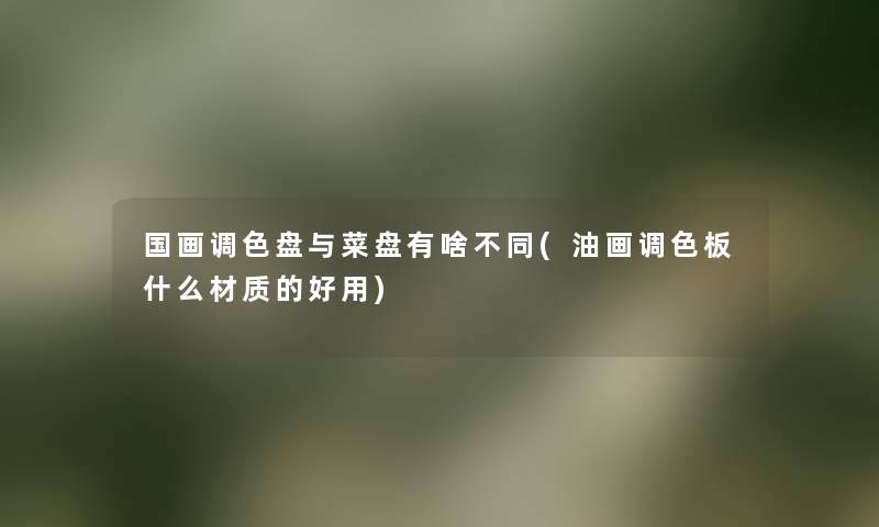 国画调色盘与菜盘有啥不同(油画调色板什么材质的好用) 国画调色盘与菜盘有啥不同(油画调色板什么材质的好用)