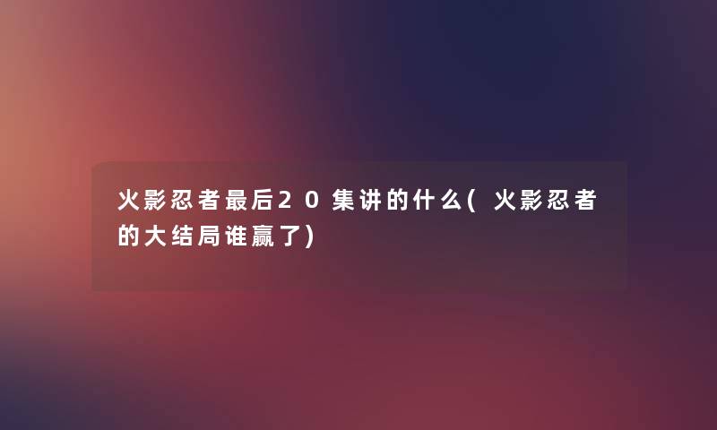 火影忍者这里要说20集讲的什么(火影忍者的大结局谁赢了)