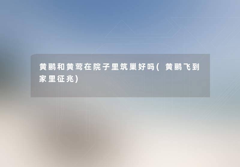 黄鹂和黄莺在院子里筑巢好吗(黄鹂飞到家里征兆) 黄鹂和黄莺在院子里筑巢好吗(黄鹂飞到家里征兆)