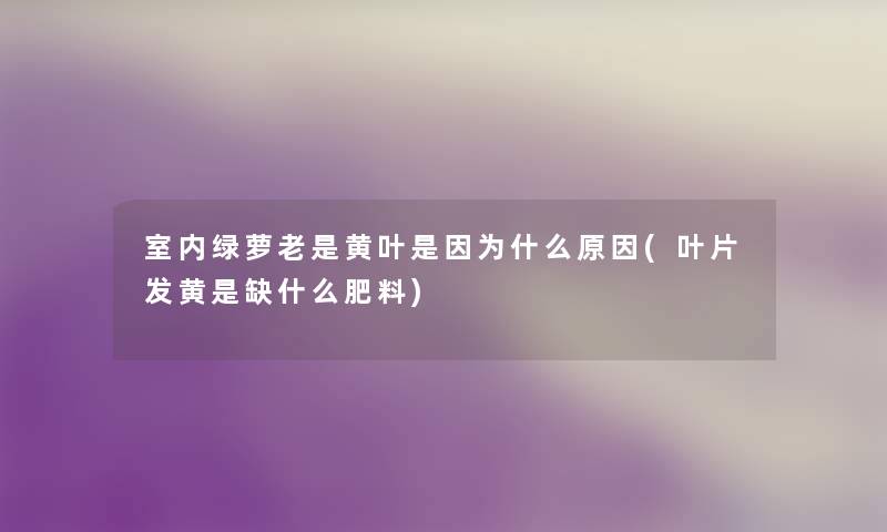 室内绿萝老是黄叶是因为什么原因(叶片发黄是缺什么肥料) 室内绿萝老是黄叶是因为什么原因(叶片发黄是缺什么肥料)
