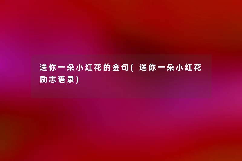 送你一朵小红花的金句(送你一朵小红花励志语录) 送你一朵小红花的金句(送你一朵小红花励志语录)