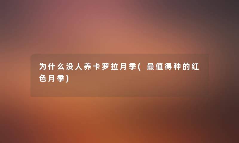 为什么没人养卡罗拉月季(种的红色月季) 为什么没人养卡罗拉月季(种的红色月季)