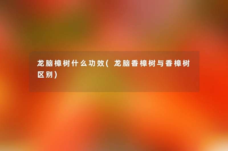 龙脑樟树什么功效(龙脑香樟树与香樟树区别)
