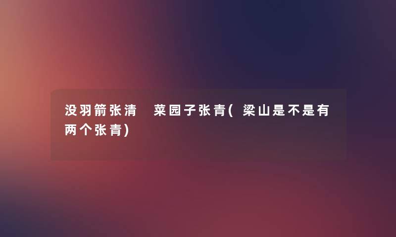 没羽箭张清 菜园子张青(梁山是不是有两个张青) 没羽箭张清 菜园子张青(梁山是不是有两个张青)