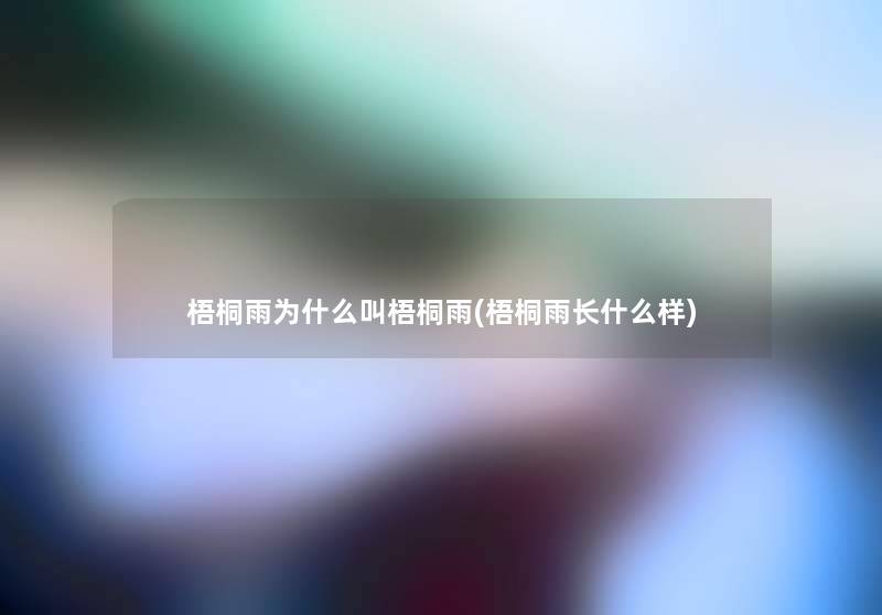 梧桐雨为什么叫梧桐雨(梧桐雨长什么样) 梧桐雨为什么叫梧桐雨(梧桐雨长什么样)