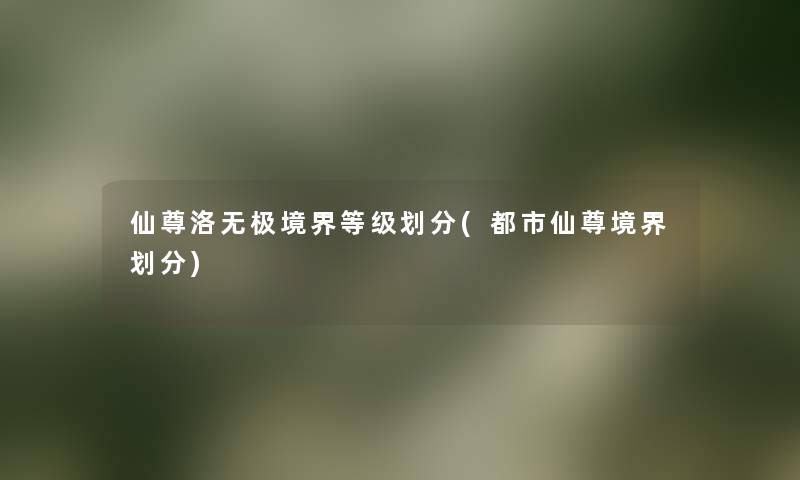 仙尊洛无极境界等级划分(都市仙尊境界划分) 仙尊洛无极境界等级划分(都市仙尊境界划分)