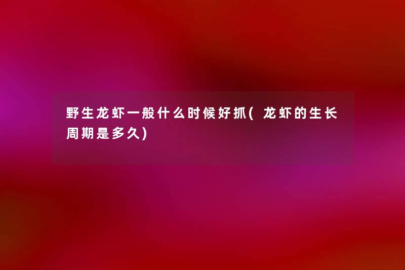 野生龙虾一般什么时候好抓(龙虾的生长周期是多久)