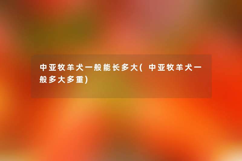 中亚牧羊犬一般能长多大(中亚牧羊犬一般多大多重) 中亚牧羊犬一般能长多大(中亚牧羊犬一般多大多重)