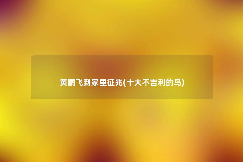 黄鹂飞到家里征兆(一些不吉利的鸟)