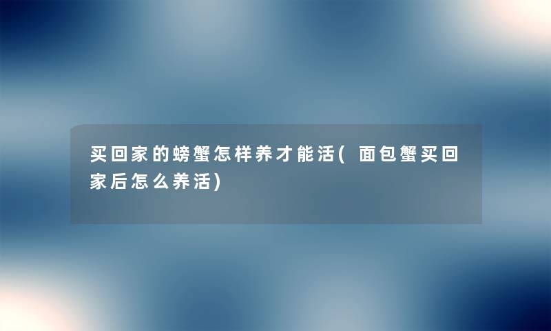买回家的螃蟹怎样养才能活(面包蟹买回家后怎么养活) 买回家的螃蟹怎样养才能活(面包蟹买回家后怎么养活)