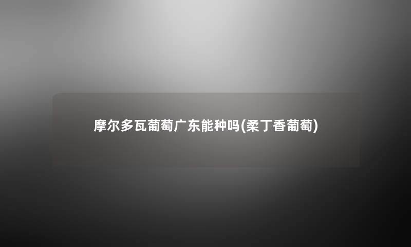 摩尔多瓦葡萄广东能种吗(柔丁香葡萄) 摩尔多瓦葡萄广东能种吗(柔丁香葡萄)