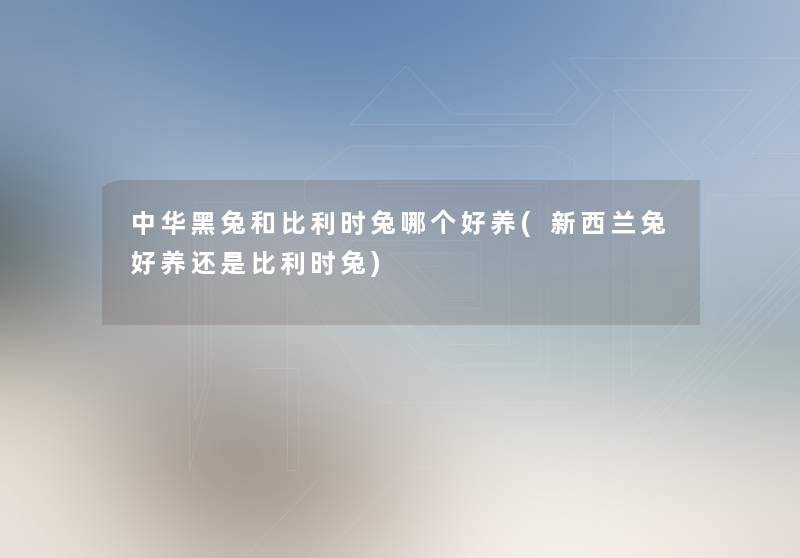 中华黑兔和比利时兔哪个好养(新西兰兔好养还是比利时兔) 中华黑兔和比利时兔哪个好养(新西兰兔好养还是比利时兔)