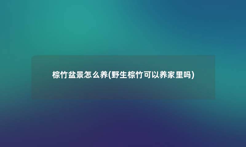 棕竹盆景怎么养(野生棕竹可以养家里吗) 棕竹盆景怎么养(野生棕竹可以养家里吗)