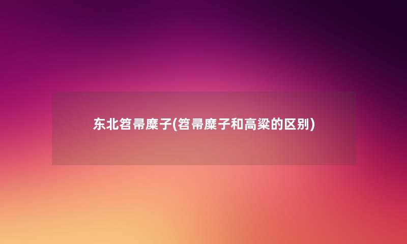 东北笤帚糜子(笤帚糜子和高粱的区别) 东北笤帚糜子(笤帚糜子和高粱的区别)
