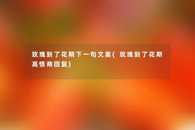 玫瑰到了花期下一句文案(玫瑰到了花期高情商回复) 玫瑰到了花期下一句文案(玫瑰到了花期高情商回复)