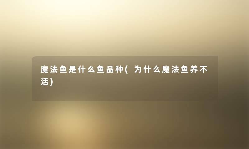 魔法鱼是什么鱼品种(为什么魔法鱼养不活) 魔法鱼是什么鱼品种(为什么魔法鱼养不活)