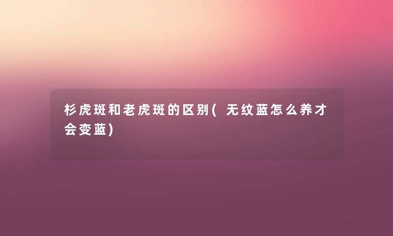 杉虎斑和老虎斑的区别(无纹蓝怎么养才会变蓝)