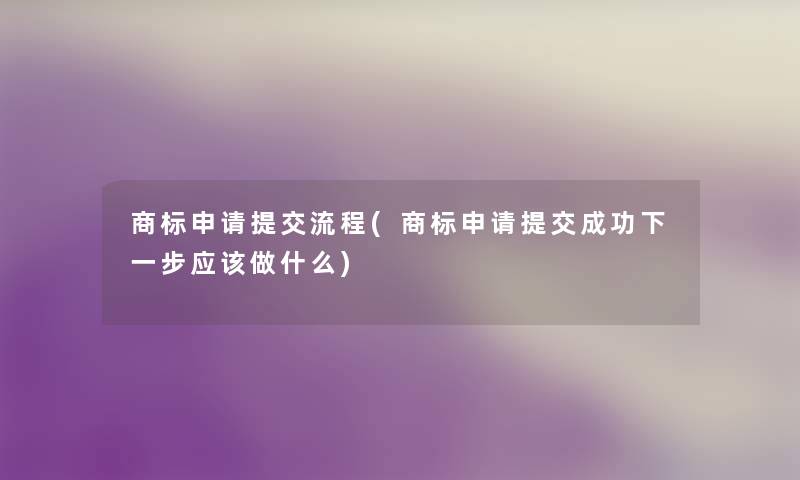 商标申请提交流程(商标申请提交成功下一步应该做什么)