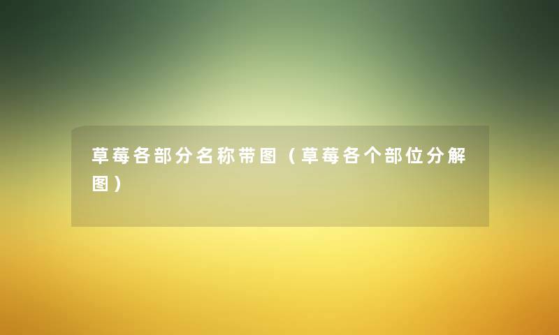 草莓各部分名称带图(草莓各个部位分解图) 草莓各部分名称带图(草莓各个部位分解图)