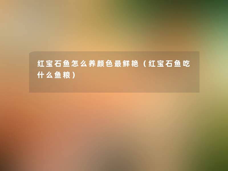 红宝石鱼怎么养颜色鲜艳(红宝石鱼吃什么鱼粮) 红宝石鱼怎么养颜色鲜艳(红宝石鱼吃什么鱼粮)