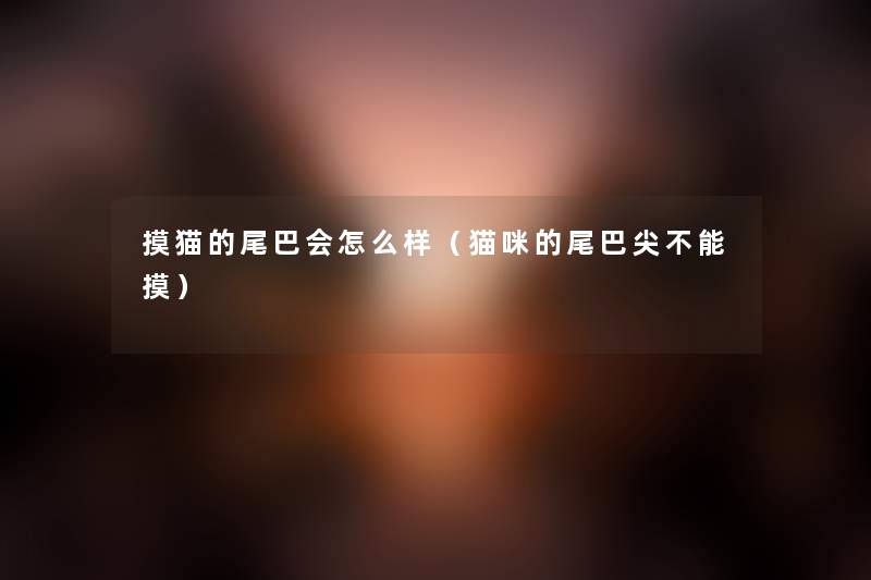 摸猫的尾巴会怎么样(猫咪的尾巴尖不能摸) 摸猫的尾巴会怎么样(猫咪的尾巴尖不能摸)