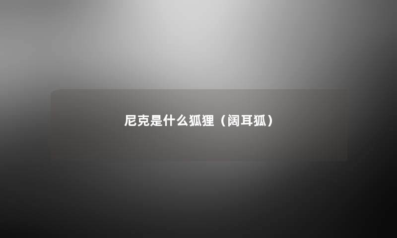 尼克是什么狐狸(阔耳狐) 尼克是什么狐狸(阔耳狐)