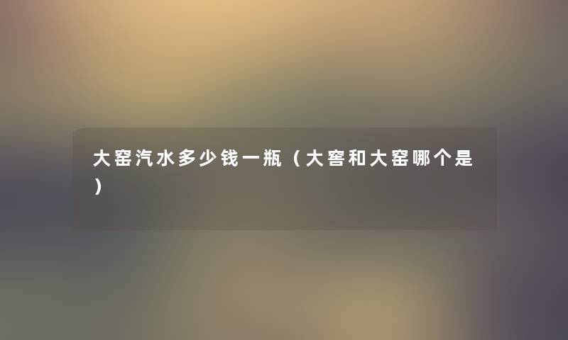 大窑汽水多少钱一瓶（大窖和大窑哪个是）