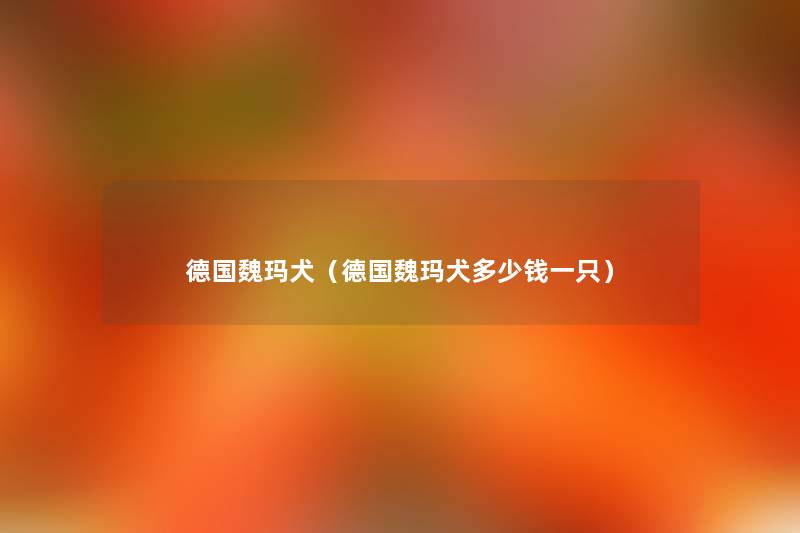 德国魏玛犬(德国魏玛犬多少钱一只) 德国魏玛犬(德国魏玛犬多少钱一只)