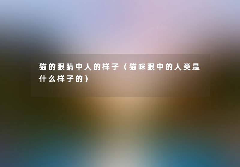 猫的眼睛中人的样子(猫咪眼中的是什么样子的) 猫的眼睛中人的样子(猫咪眼中的是什么样子的)