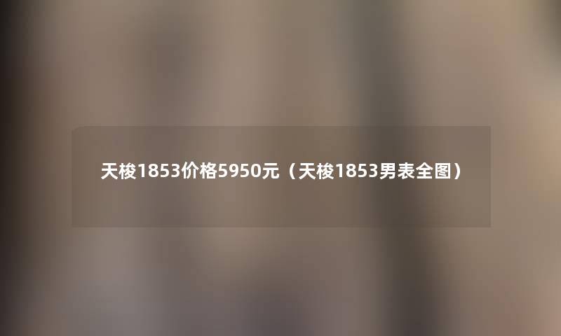 天梭1853价格5950元(天梭1853男表全图) 天梭1853价格5950元(天梭1853男表全图)