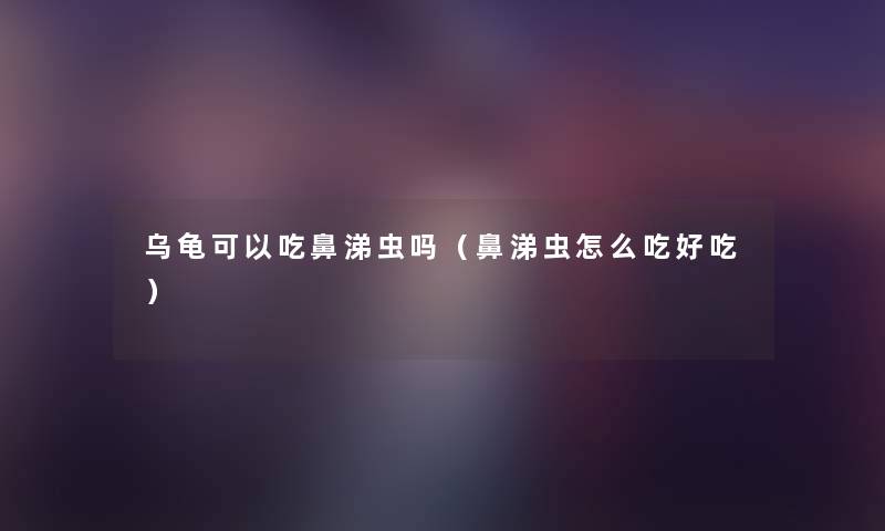 乌龟可以吃鼻涕虫吗(鼻涕虫怎么吃好吃) 乌龟可以吃鼻涕虫吗(鼻涕虫怎么吃好吃)