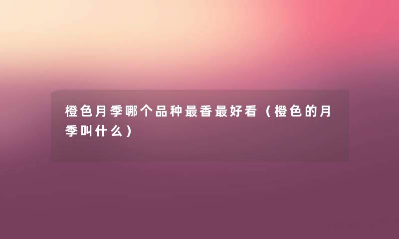 橙色月季哪个品种香好看(橙色的月季叫什么) 橙色月季哪个品种香好看(橙色的月季叫什么)