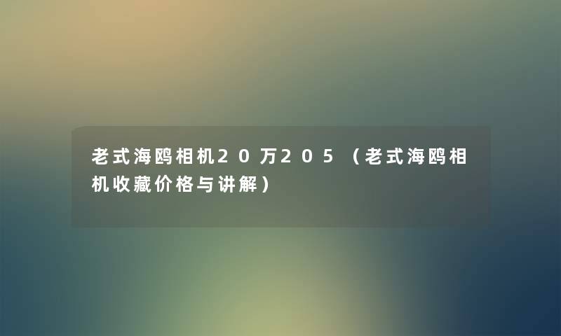 老式海鸥相机20万205(老式海鸥相机收藏价格与讲解) 老式海鸥相机20万205(老式海鸥相机收藏价格与讲解)